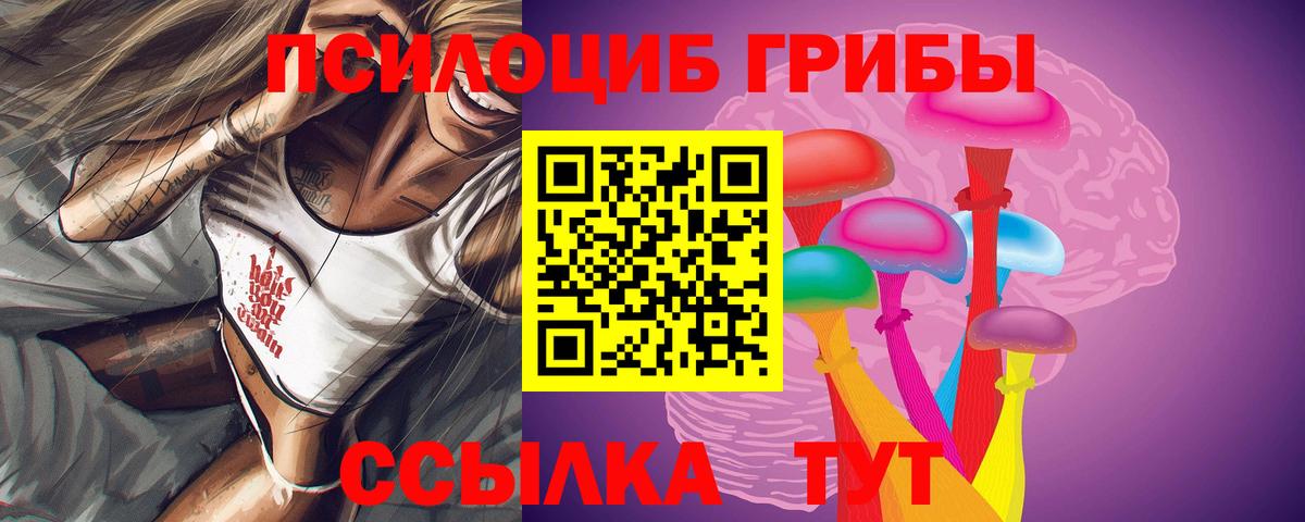 Псилоцибиновые грибы Psilocybine cubensis  Вход с VPN  Псилоцибиновые грибы прущие грибы  Новый Уренгой 